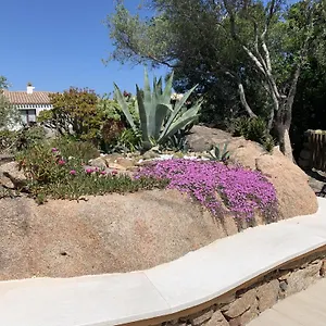 L'olivastro A , Porto Cervo Italie